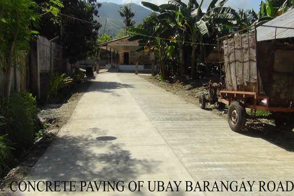 ubay-brgy-road8582128C-E3DE-DF13-23E6-FF34E9EE4F42.jpg